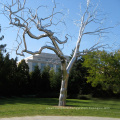 High quality stainless steel tree sculpture for sale